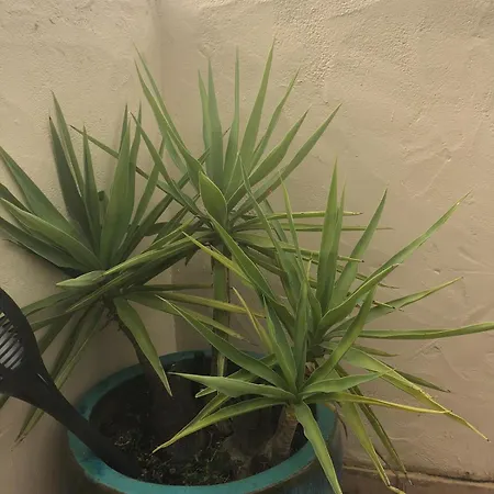 Maison Familiale Vue * Grosseto-Prugna